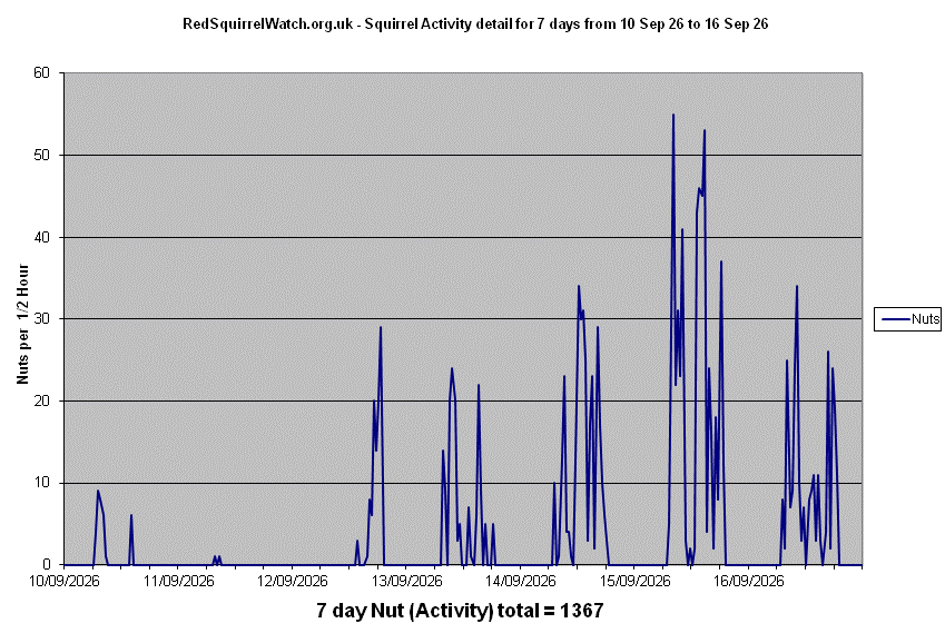Click to view Activity Detail chart full-size