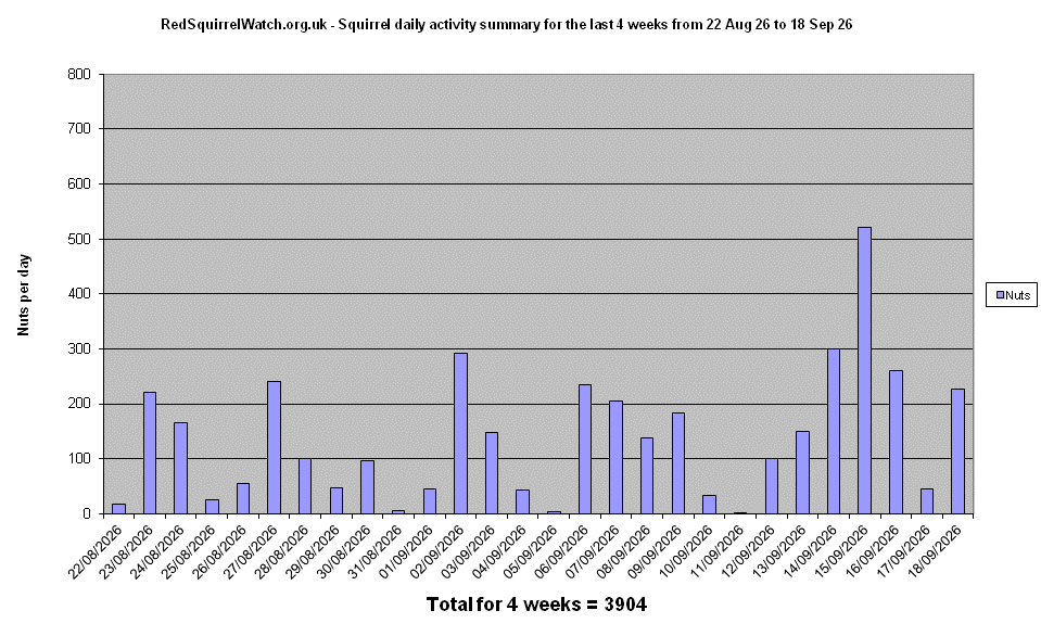 Click to view the Activity chart full-size