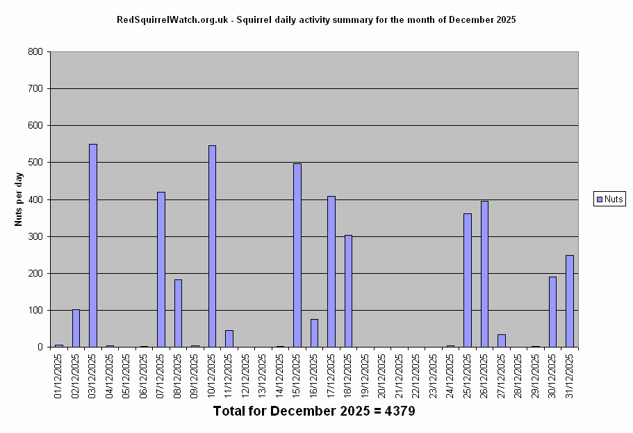 Activity (December)