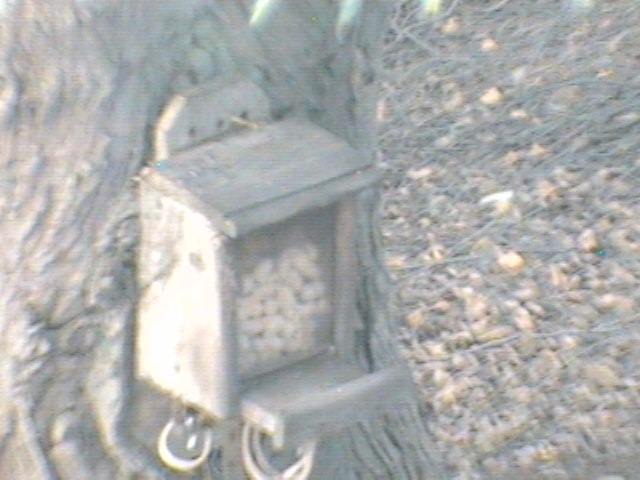 Recent Webcam Image